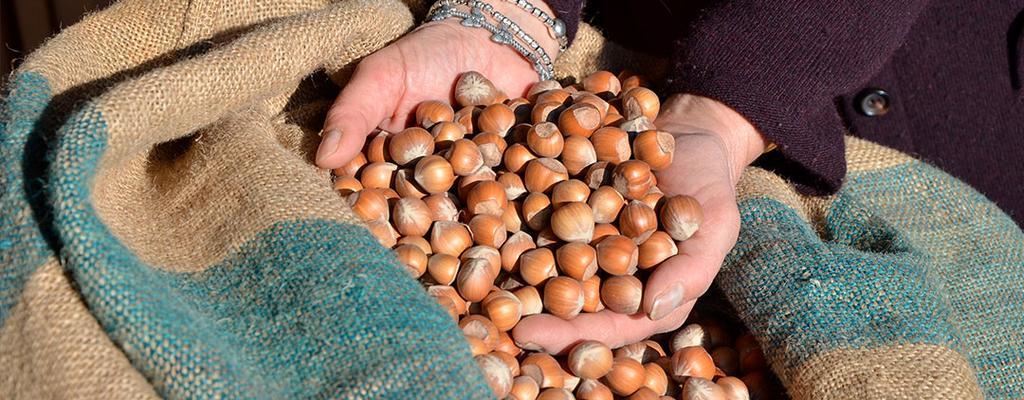 La Madonnina Agriturismo Dore Alba  Eksteriør billede