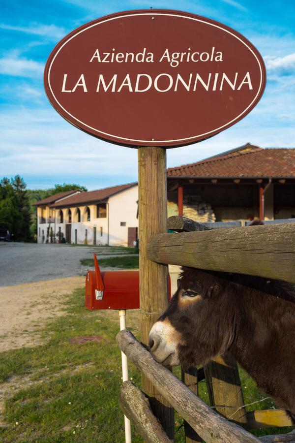 La Madonnina Agriturismo Dore Alba  Eksteriør billede
